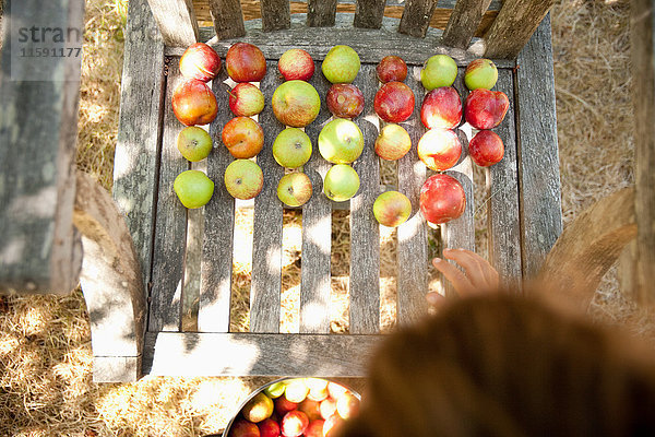 Äpfel auf Holzstuhl trocknen