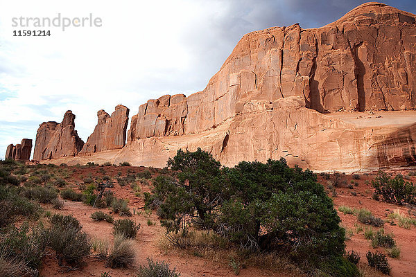 Rote Felsen von Moab  Utah  USA
