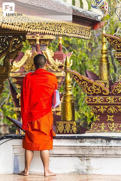 Buddhistischer Mönch  traditionelles orangefarbenes Gewand  Blick in die Ferne  Wat Rajamontean  Chiang Mai  Provinz Chiang Mai  Nordthailand  Thailand  Asien