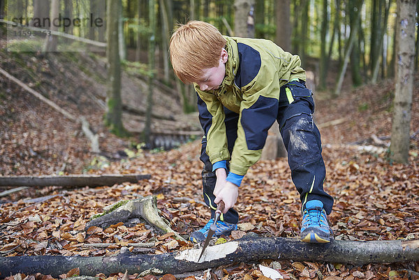 Junge hackt Holz im Wald