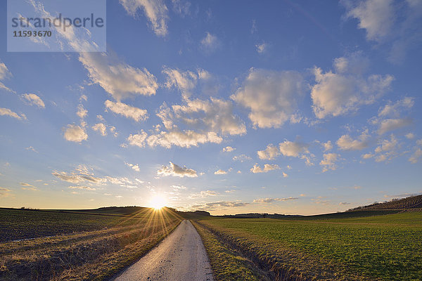 Deutschland  Bayern  Sonnenuntergang mit kleiner Landstraße durch Felder