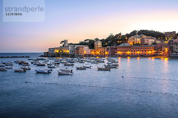 Italien  Ligurien  Sestri Levante bei Dämmerung