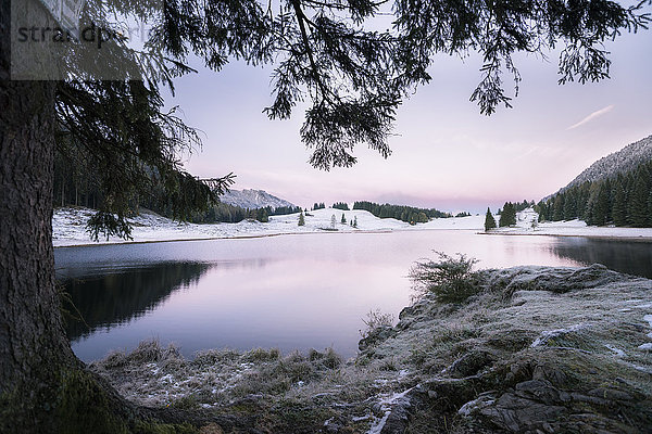 Österreich  Sankt Koloman  Seewaldsee im Winter