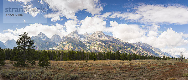 USA  Wyoming  Grand Teton Nationalpark  Landschaft