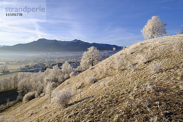 Deutschland  Bayern  Grossweil  Wintermorgen