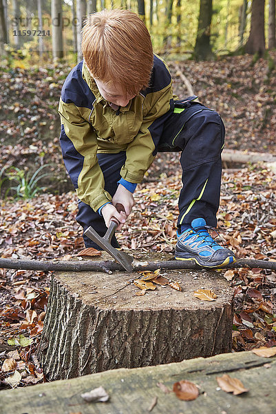 Rothaariger Junge  der einen Zweig mit Schleife im Herbstwald behandelt