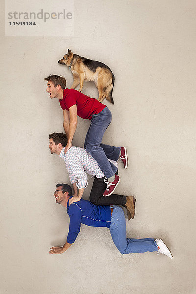Drei Freunde  die einen Hund auf ihnen balancieren.