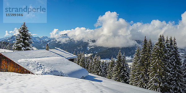 Österreich  Kleinwalsertal  Höhenweg im Winter