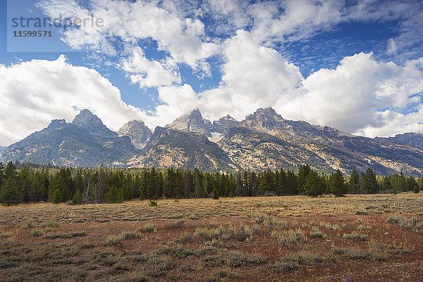 USA  Wyoming  Grand Teton Nationalpark  Landschaft
