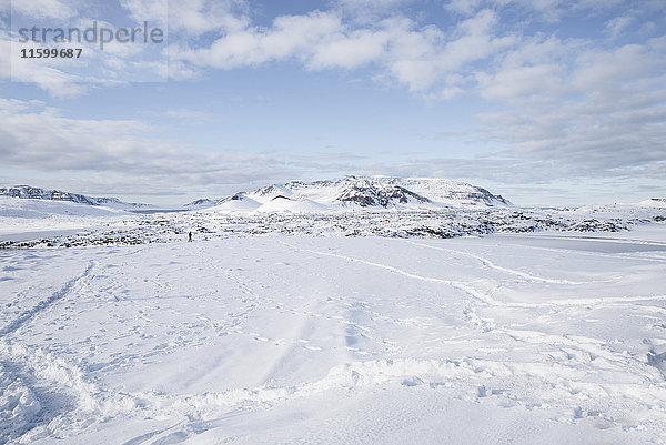 Island  schneebedeckte Landschaft