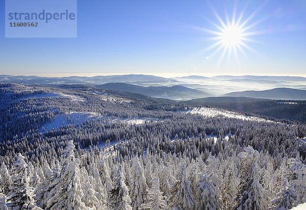 Deutschland  Bayern  Bayerischer Wald im Winter  Blick vom Großen Arber südwestlich