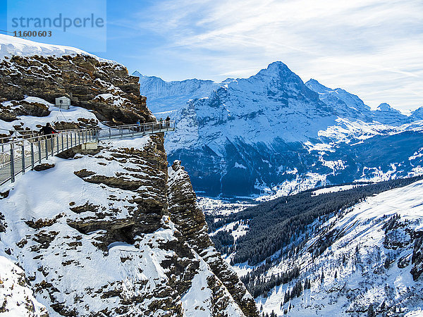Schweiz  Kanton Bern  Grindelwald  Blick vom First Cliff Walk auf Eiger und Eiger Nordwand