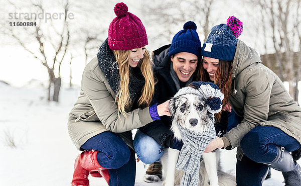 Drei Freunde bei ihrem Border Collie im Schnee