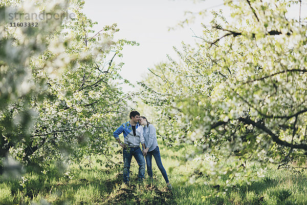 Kaukasisches Paar hält Hände unter blühenden Bäumen