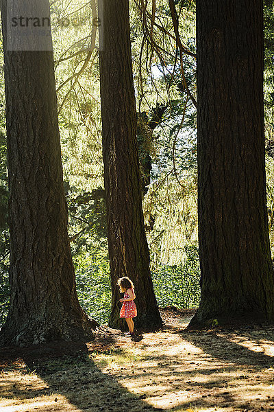 Kaukasisches Mädchen erforscht in der Nähe von Bäumen