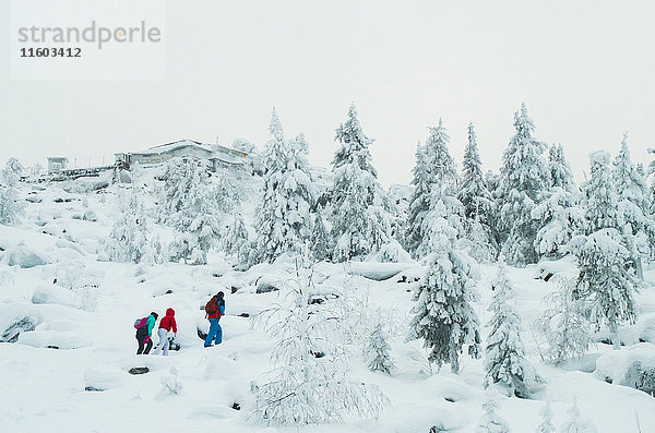 Kaukasische Freunde wandern im verschneiten Wald