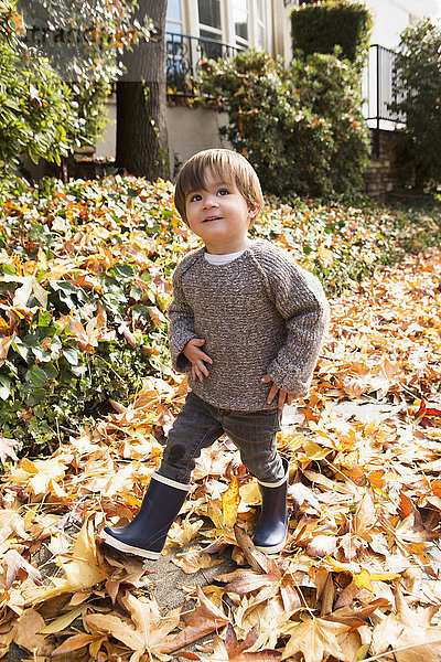 Gemischtrassiger Junge geht im Herbstlaub spazieren