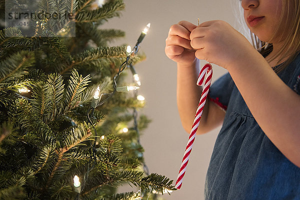 Kaukasisches Mädchen hängt Zuckerstange an Weihnachtsbaum