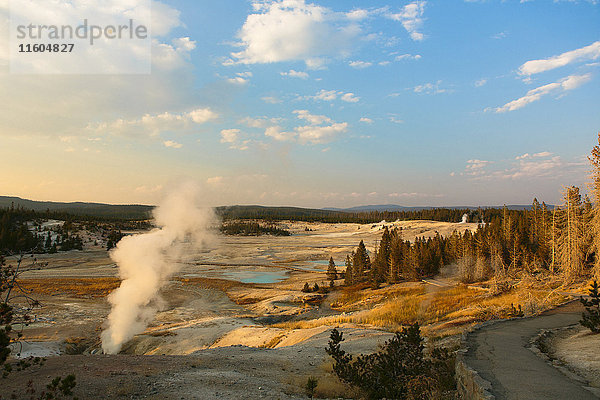 Dampf  der aus einem Geysir im Yellowstone National Park  Wyoming  Vereinigte Staaten  aufsteigt