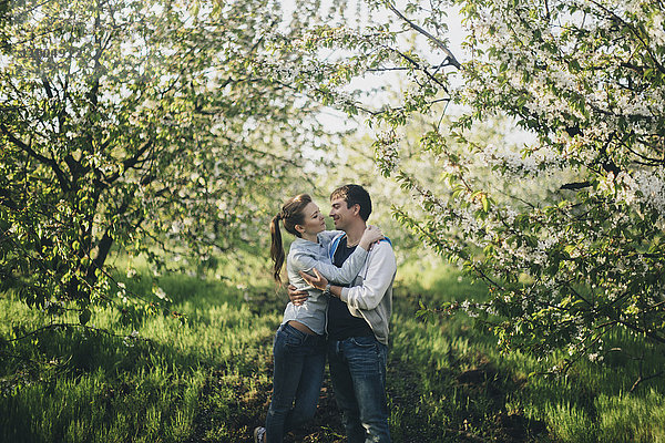 Kaukasisches Paar  das sich unter blühenden Bäumen küsst