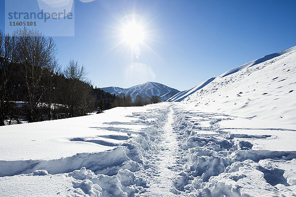 Spur im Schnee auf sonnigem Berg