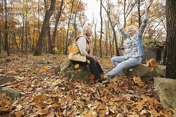 Kaukasische Frauen spielen mit Herbstblättern