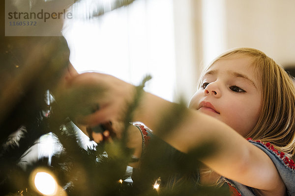 Kaukasisches Mädchen hängt Lichter am Weihnachtsbaum auf