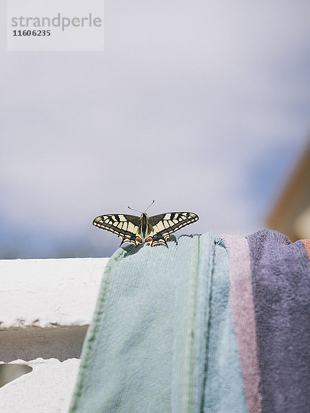 Nahaufnahme des Schmetterlings auf dem Handtuch bei Sonnenschein gegen den Himmel