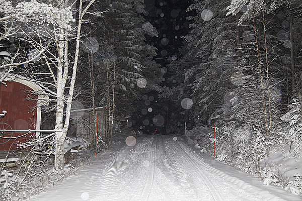 Straße inmitten von Bäumen bei verschneitem Wetter bei Nacht