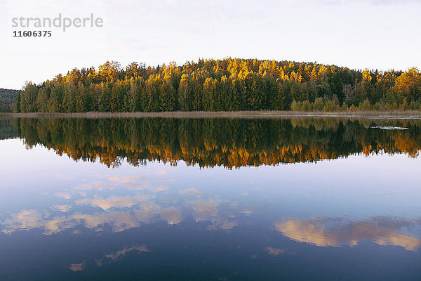 Landschaftlicher Blick auf Herbstbäume nu ruhigen See