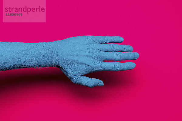 Nahaufnahme von blau gestrichener Hand über rosa Hintergrund