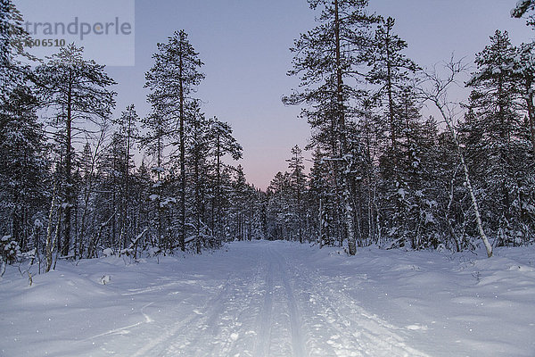 Blick auf Straße und Bäume in schneebedeckter Landschaft gegen den Himmel bei Sonnenuntergang