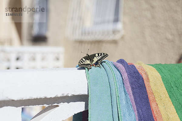 Nahaufnahme des Schmetterlings auf dem Handtuch bei Sonnenschein