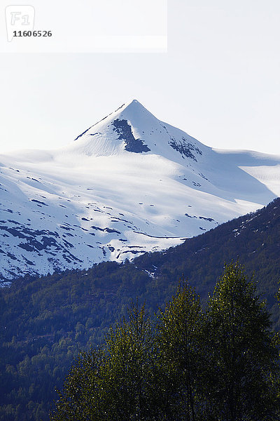 Schneebedeckte Berglandschaft mit Wald