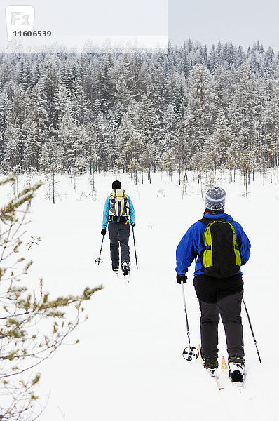 Frauen beim Skilanglauf im Winterwald