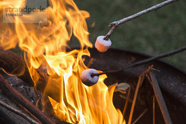 Nahaufnahme von Marshmallows  die über dem Lagerfeuer getoastet werden.