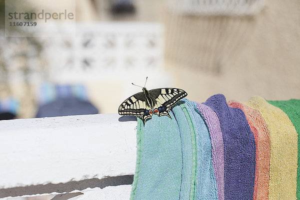 Nahaufnahme des Schmetterlings auf dem Handtuch bei Sonnenschein