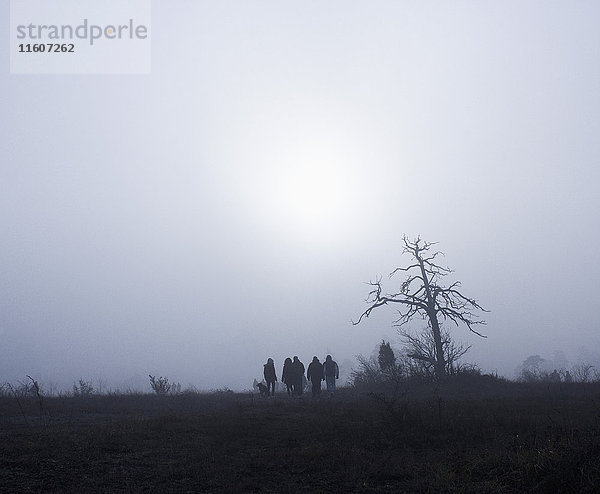 Silhouette Menschen durch nackten Baum auf dem Feld gegen den Himmel