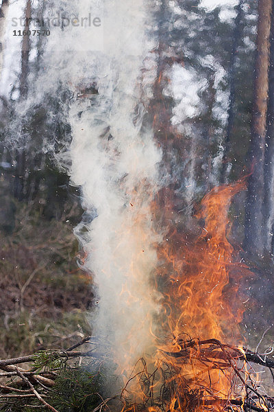 Vom Waldbrand ausgehender Rauch