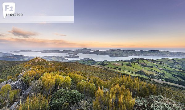 Blick vom Mount Cargill Dunedin mit Otago Harbor und Otago Peninsula  Sonnenuntergang  Dunedin  Otago  Southland  Neuseeland  Ozeanien
