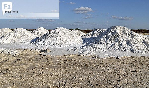 Salzkegel  Rohsalz  Saline in Las Coloradas  Yukatan  Mexiko  Mittelamerika