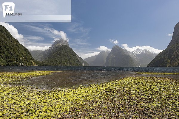 Mitre Peak und Mount Kimberley  Milford Sound  Fiordland National Park  Southland  Neuseeland  Ozeanien