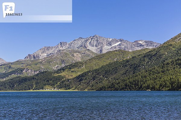 Silsersee mit Piz Corvatsch  Oberengadin  Engadin  Region Maloja  Kanton Graubünden  Schweiz  Europa