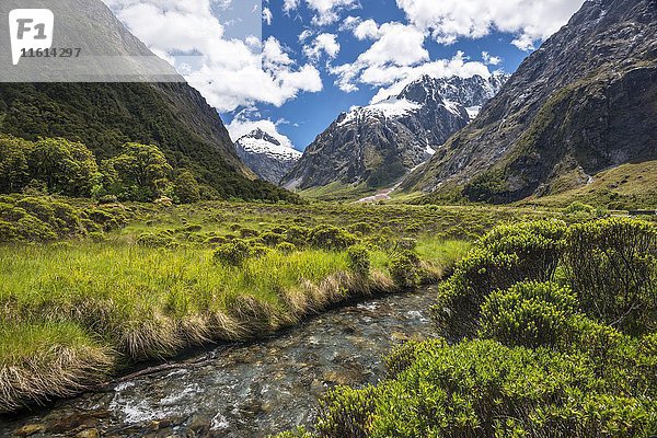 Bach im Fiordland-Nationalpark  hinter Mount Talbot  Milford Road  Südland  Neuseeland  Ozeanien