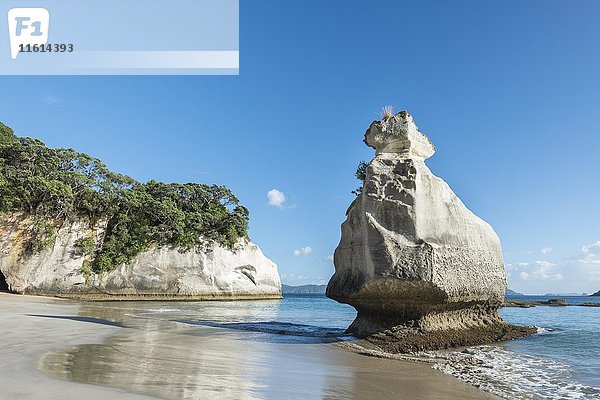Felsformation am Strand bei Cathedral Cove  Mercury Bay  Coromandel-Halbinsel  Nordinsel  Neuseeland  Ozeanien