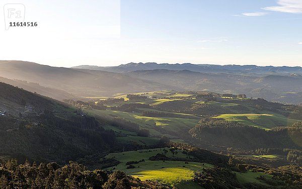 Blick vom Mount Cargill auf Wiesen und Wälder  Dunedin  Otago  Southland  Neuseeland  Ozeanien