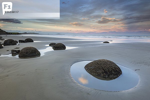 Moeraki Boulders am Strand  runde Felsbrocken  Moeraki  Otago  Southland  Neuseeland  Ozeanien