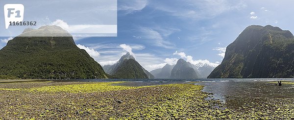Mitre Peak und Mount Kimberley  Milford Sound  Fiordland National Park  Southland  Neuseeland  Ozeanien