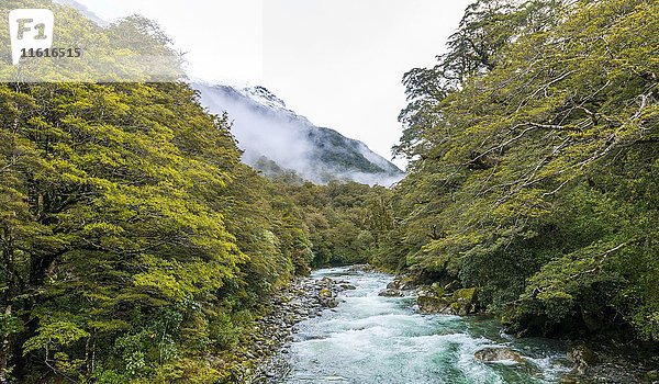 Hollyford River mit Bergen  Whakatipu Ka Tuka  Fiordland National Park  Te Anau  Southland Region  Southland  Neuseeland  Ozeanien