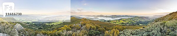 Blick vom Mount Cargill Dunedin mit Otago Harbor und Otago Peninsula  Dunedin  Otago  Southland  Neuseeland  Ozeanien